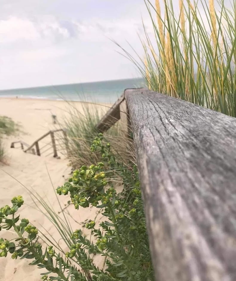 Screenshot_20210328-121252_Facebook