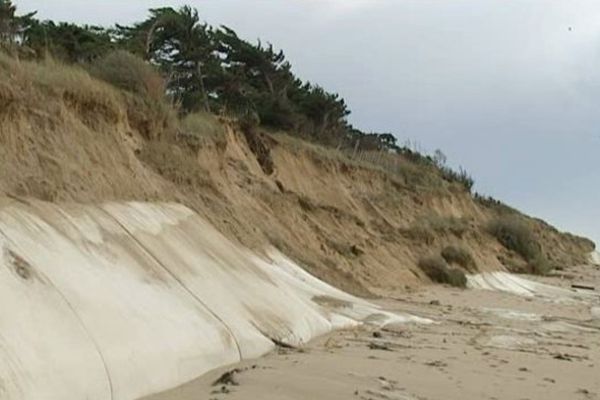 5ede4c3ad2ac3_prog6335996