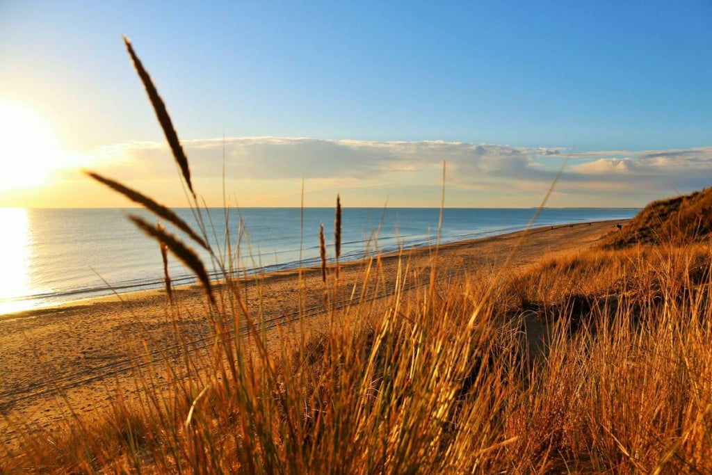 1508763494-725611225