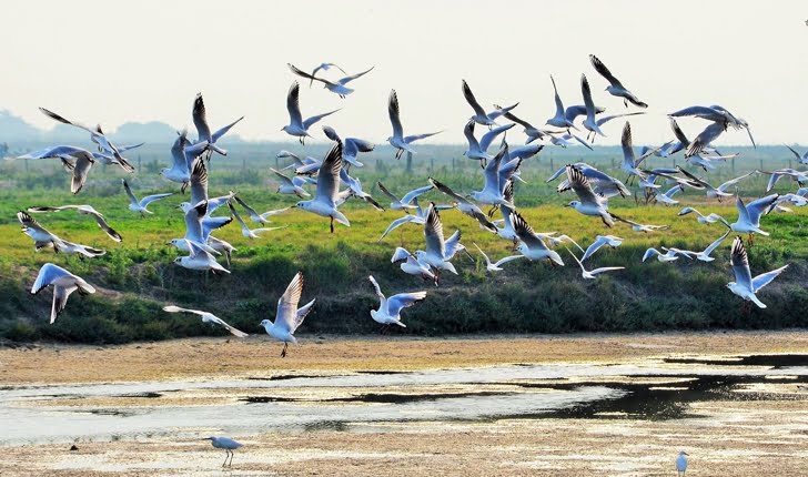 crédit photo Y. Guyot