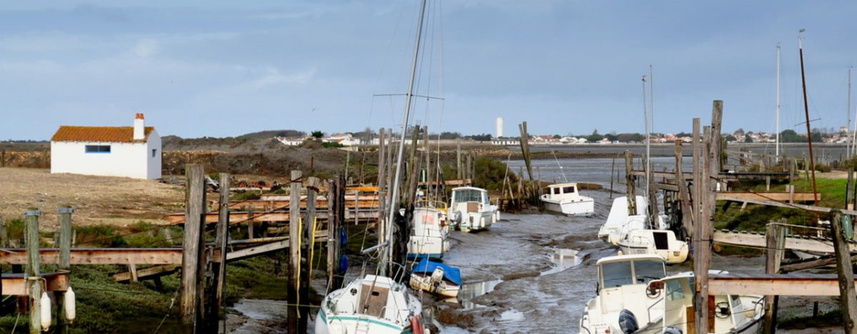 Le Goisil qui se meurt …