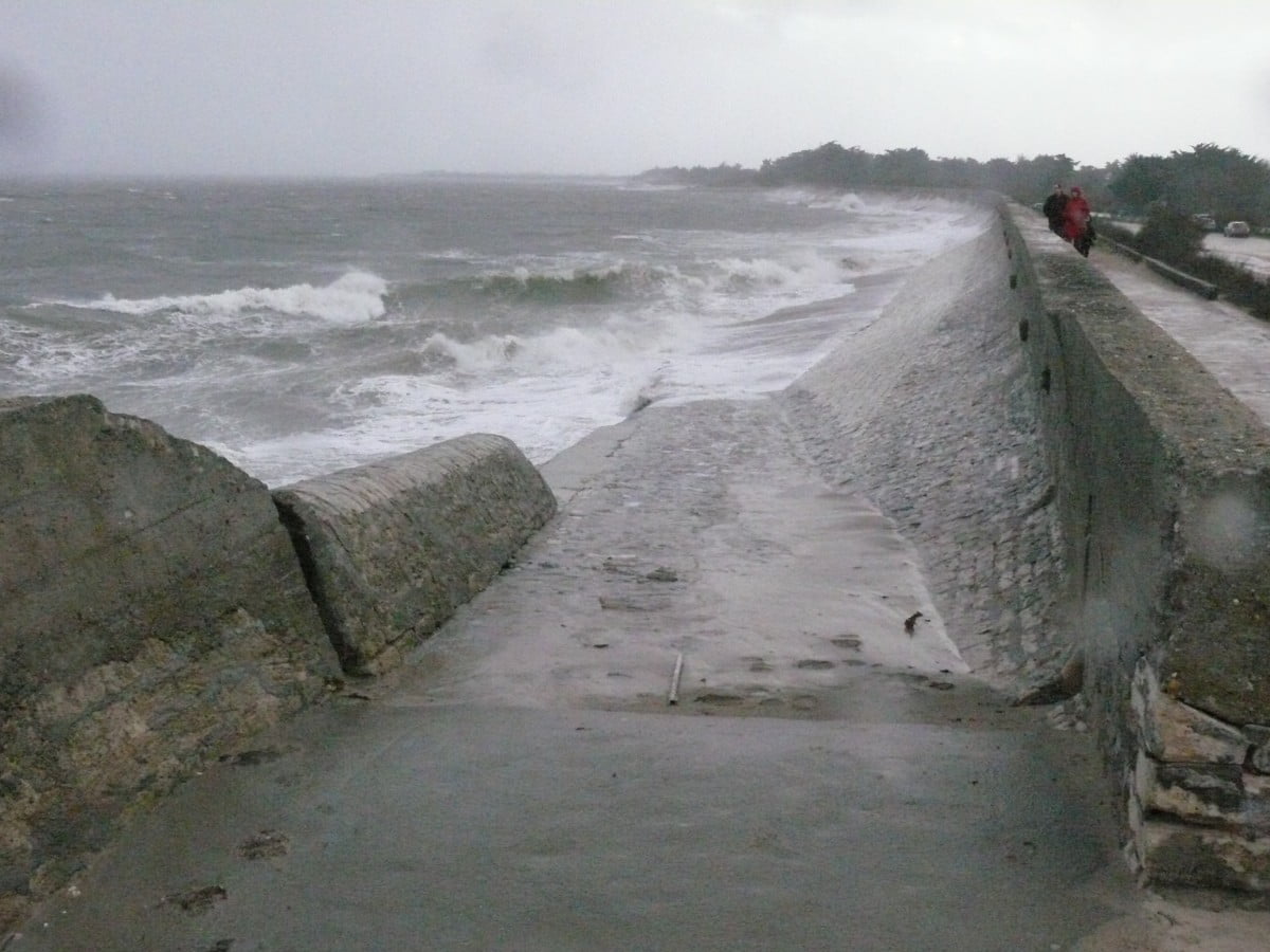 Annulation du SCOT et l&rsquo;Avenir du Bois