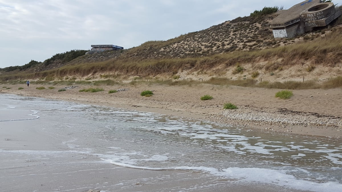 Dune entre les Âneries et Le Bois Plage