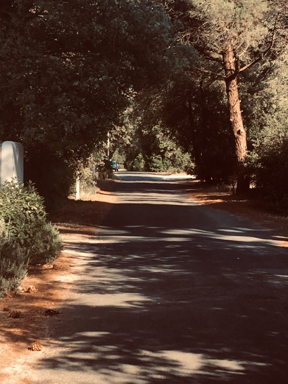 2_ième Café Couardais : Les Brardes