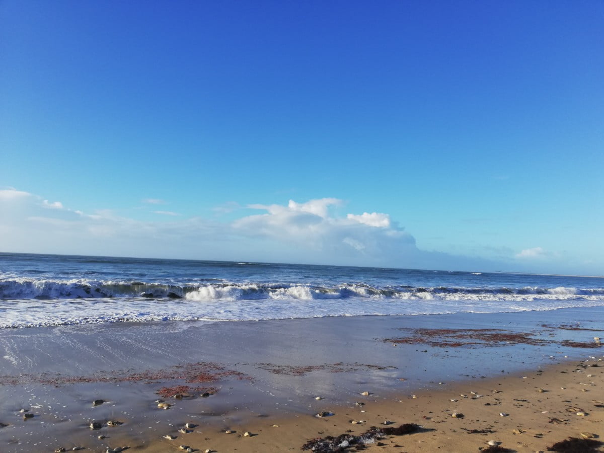 Tribune d&rsquo;opinions n° 2